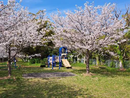 公園のメイン写真