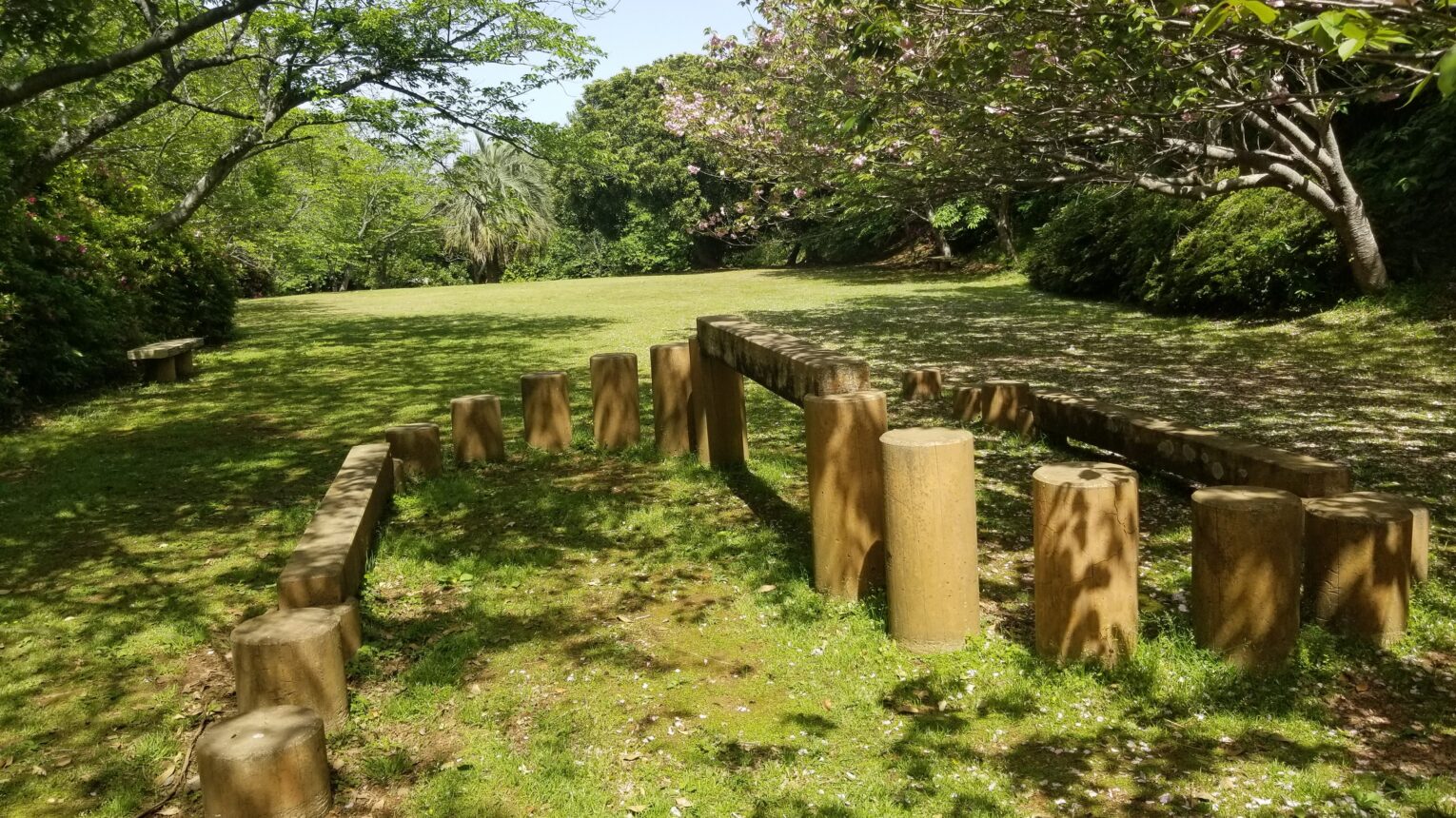 公園のメイン写真