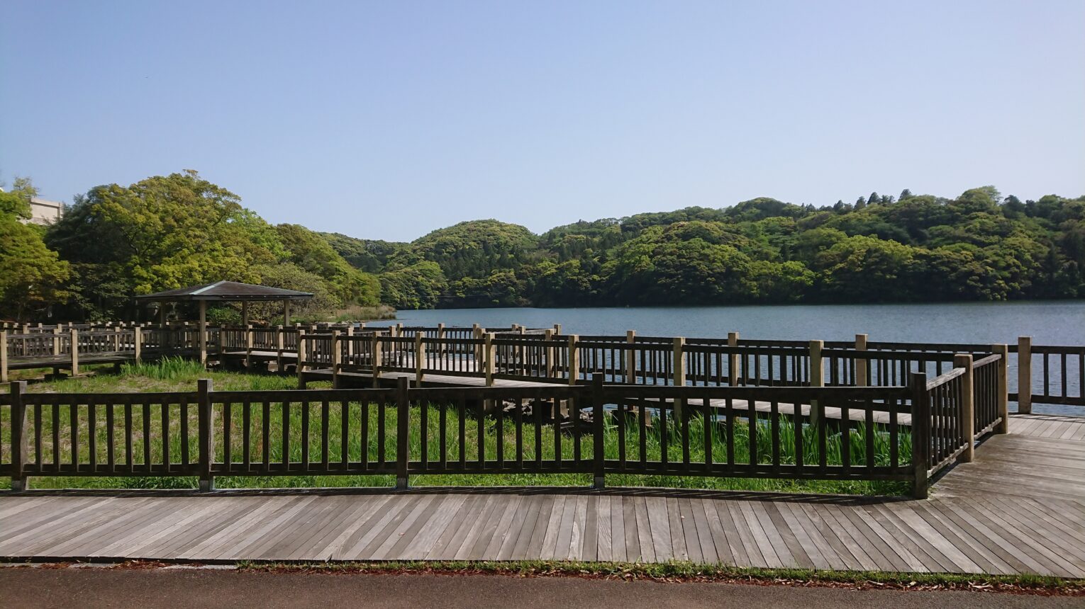 公園のメイン写真
