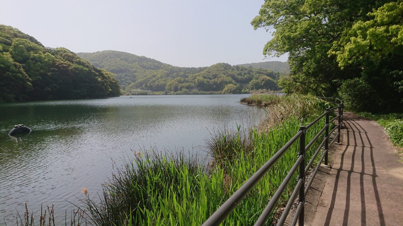 公園のメイン写真