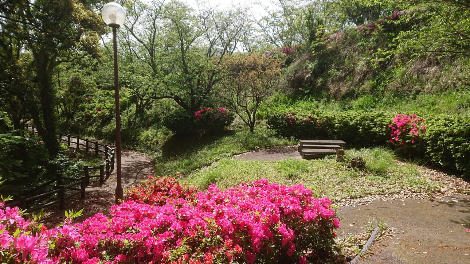 公園のメイン写真