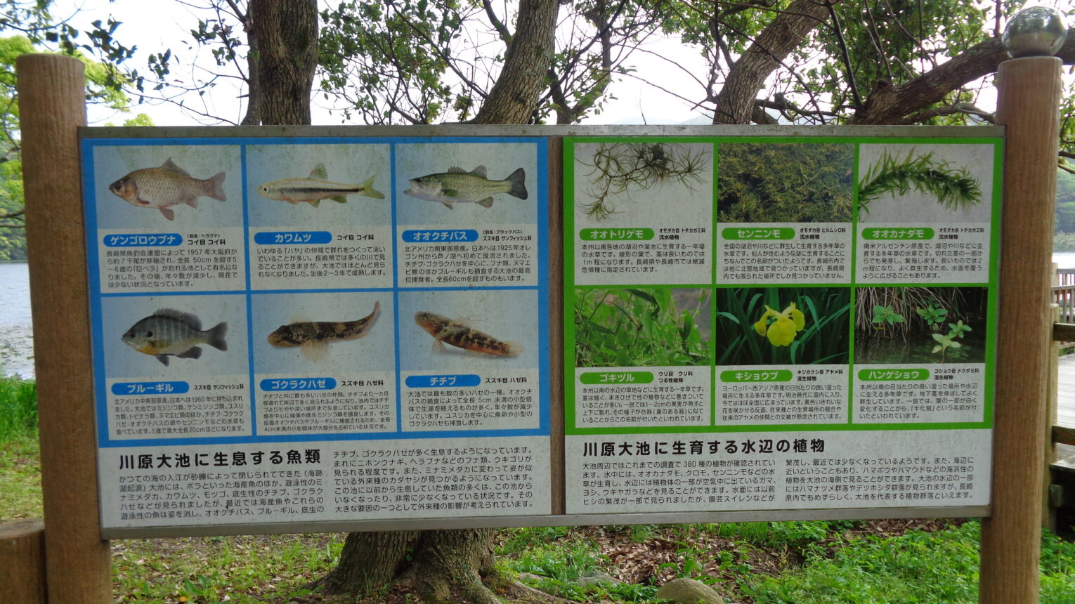 公園のメイン写真