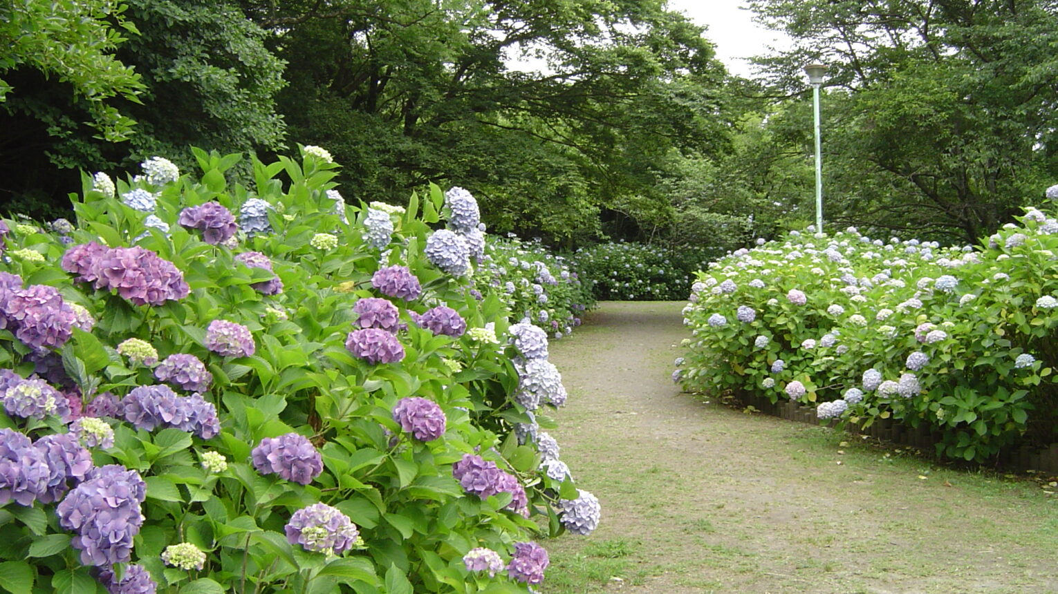 公園のメイン写真