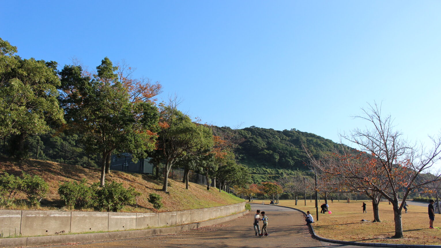 長崎市総合運動公園（愛称：ベネックス総合運動公園）｜ながさき市お出かけ公園ナビ