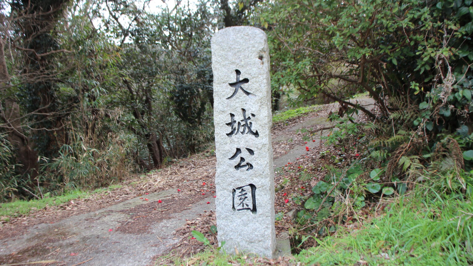 公園のメイン写真