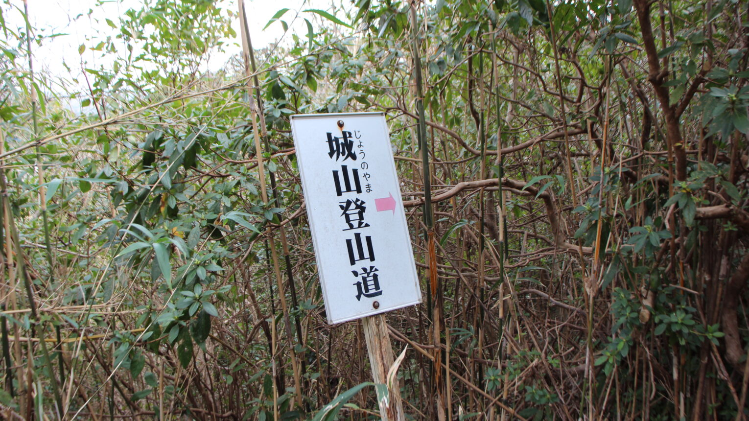 公園のメイン写真