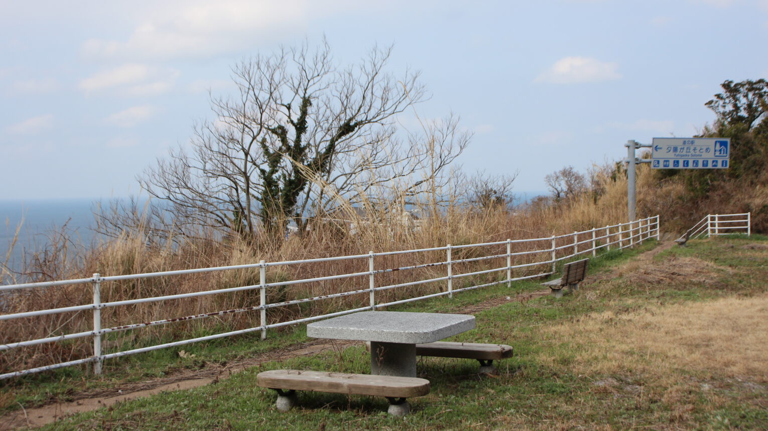 公園のメイン写真