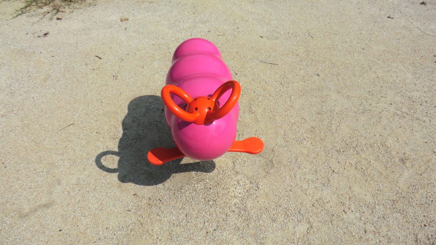 公園のメイン写真