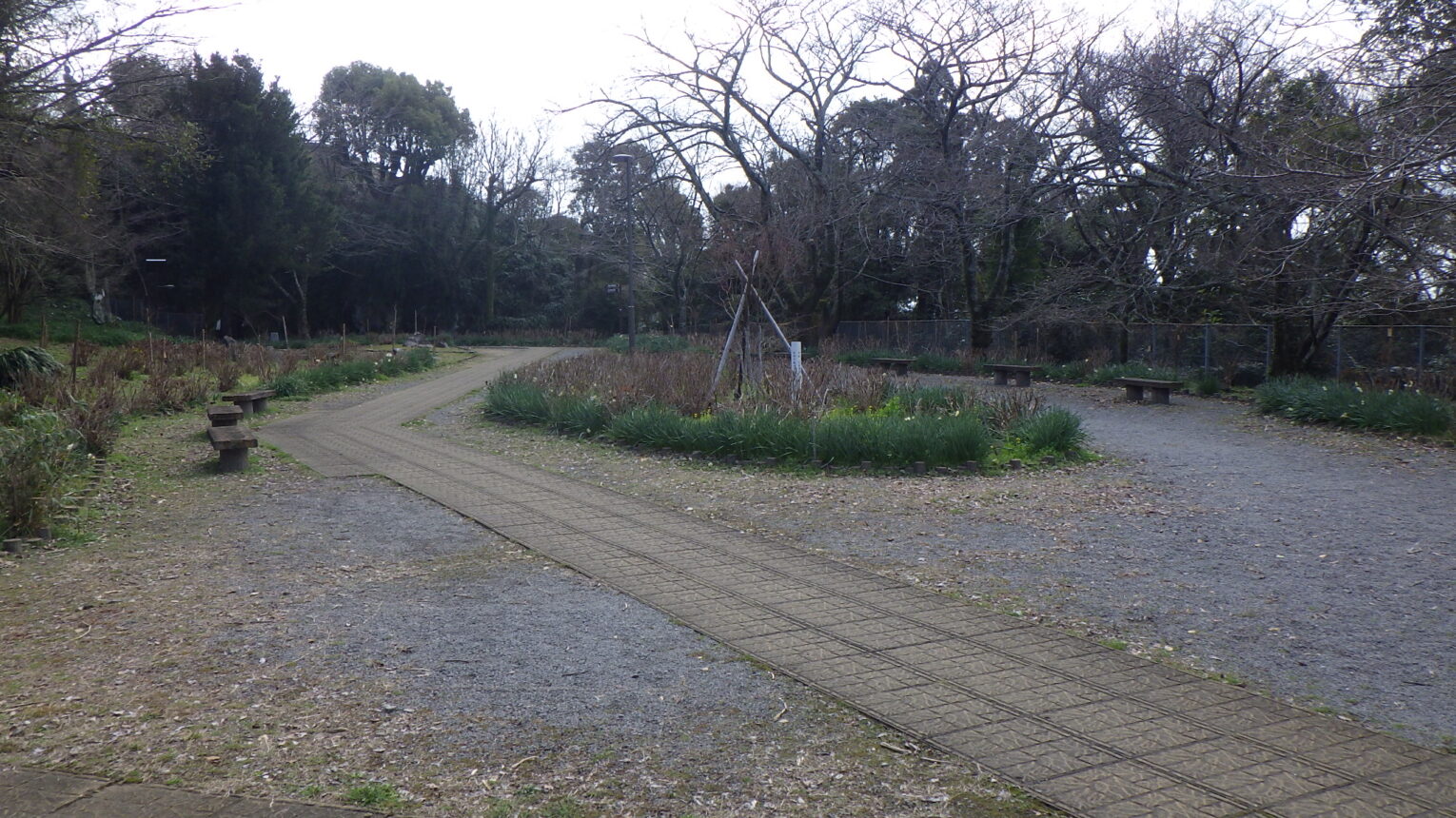 公園のメイン写真