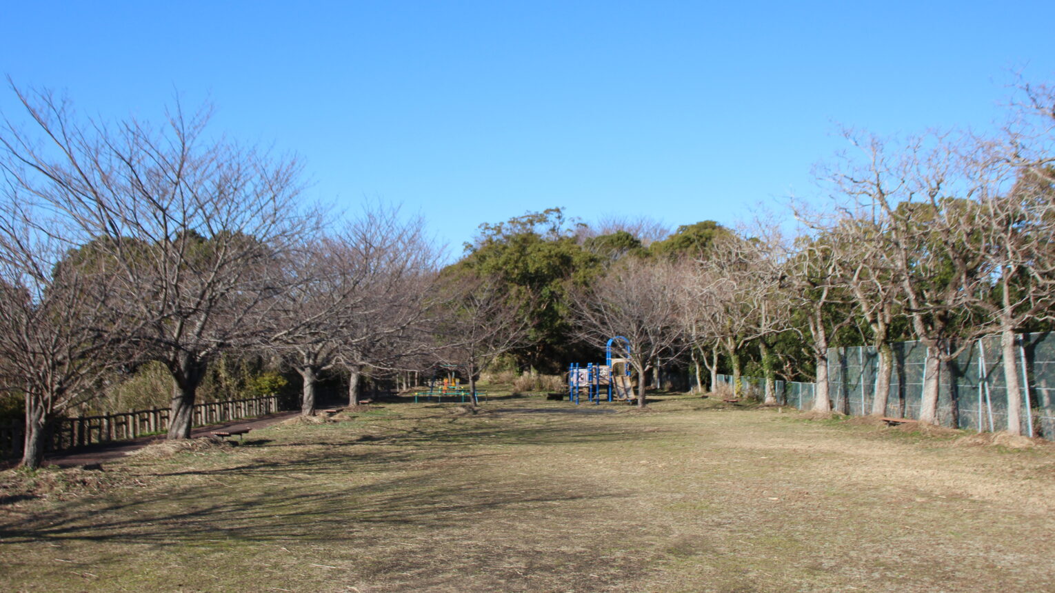 公園のメイン写真