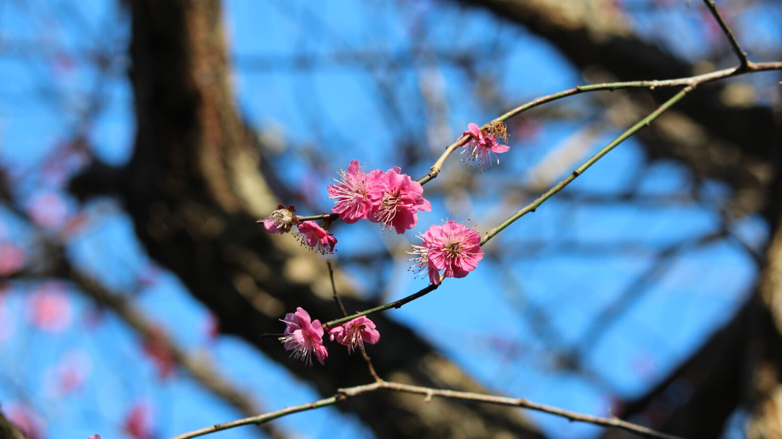 公園のメイン写真