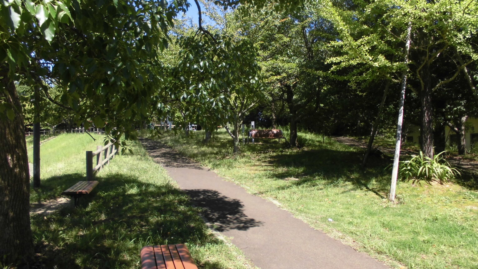 公園のメイン写真