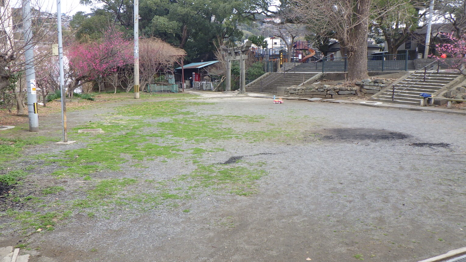 公園のメイン写真